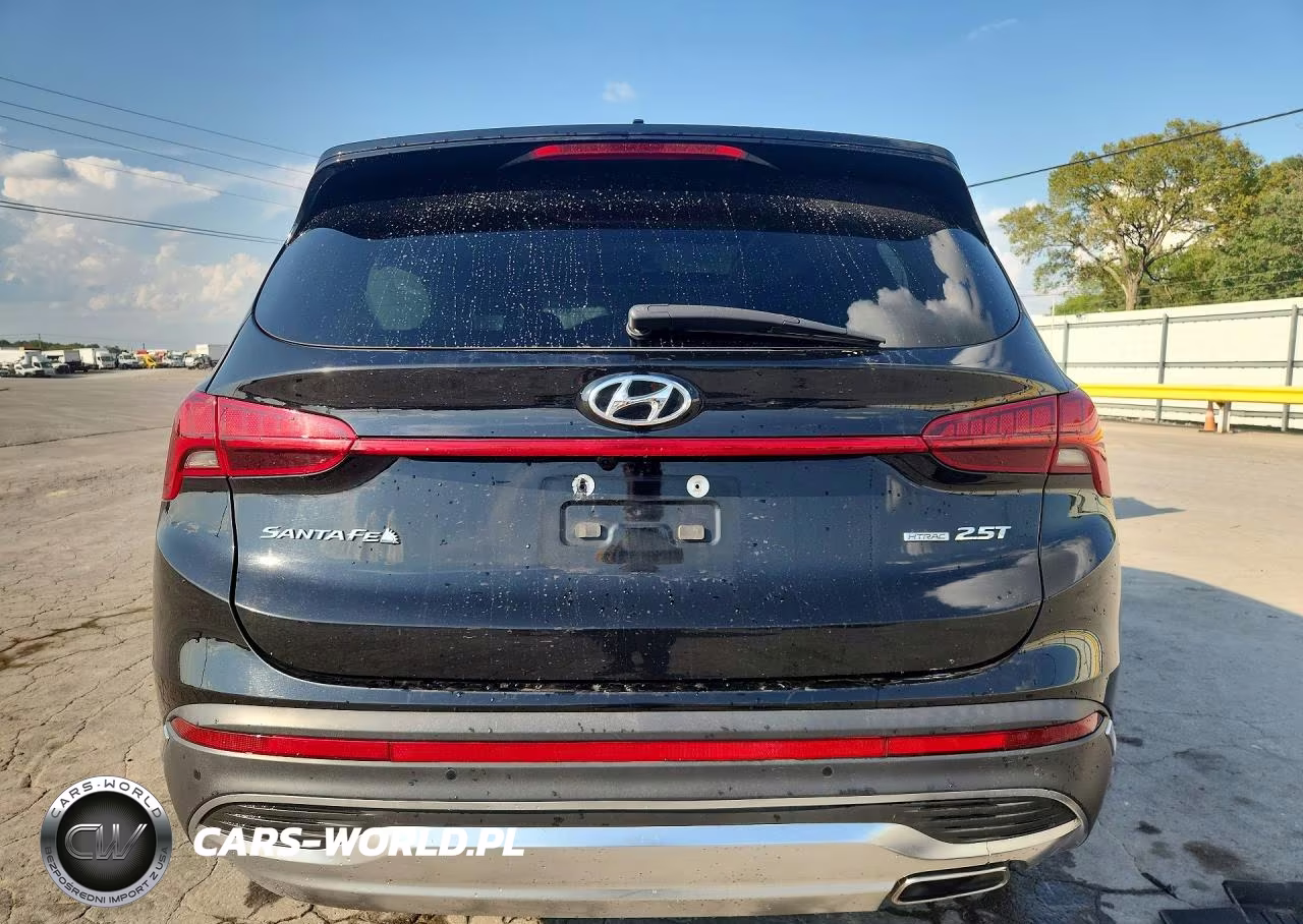 2023 Hyundai Santa Fe Limited VIN:5NMS4DAL8PH629190 - 6