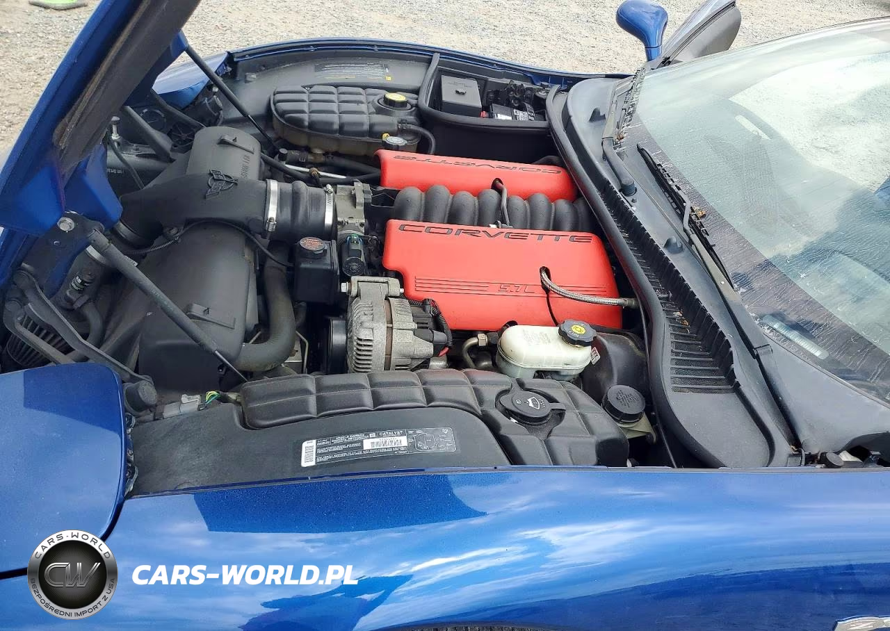 2002 Chevrolet Corvette Z06 VIN:1G1YY12SX25121231 - 11