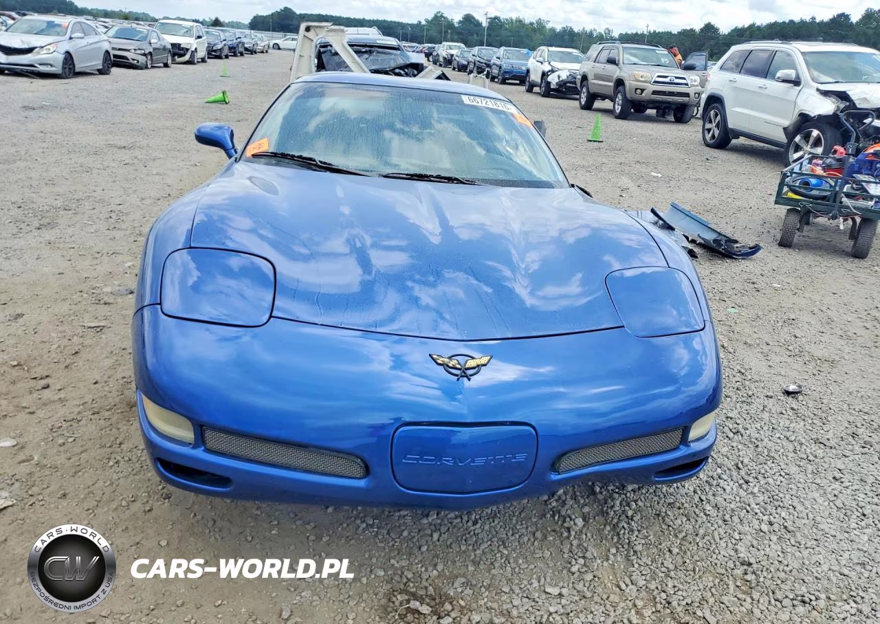 2002 Chevrolet Corvette Z06 VIN:1G1YY12SX25121231 - 5