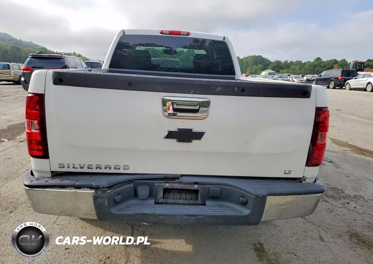 2008 Chevrolet Silverado K1500 VIN:1GCEK19JX8Z282883 - 6