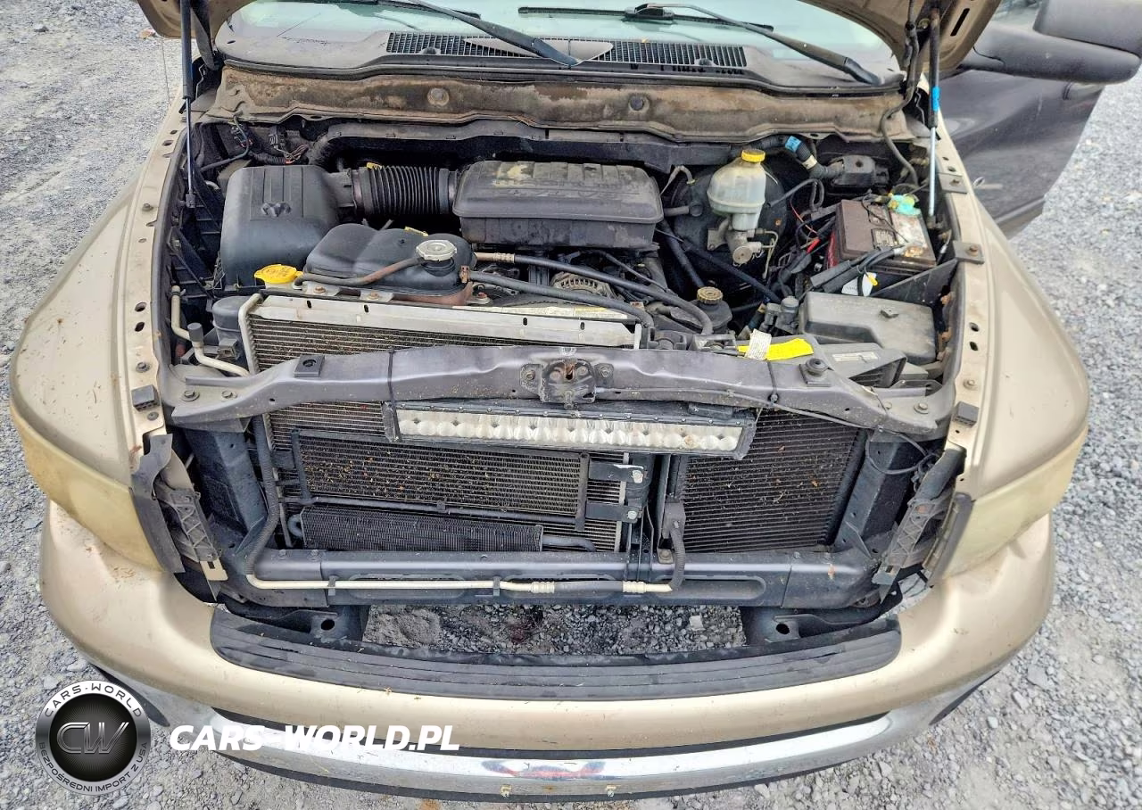 2002 Dodge Ram 1500 VIN:1D7HA18N42S635807 - 11