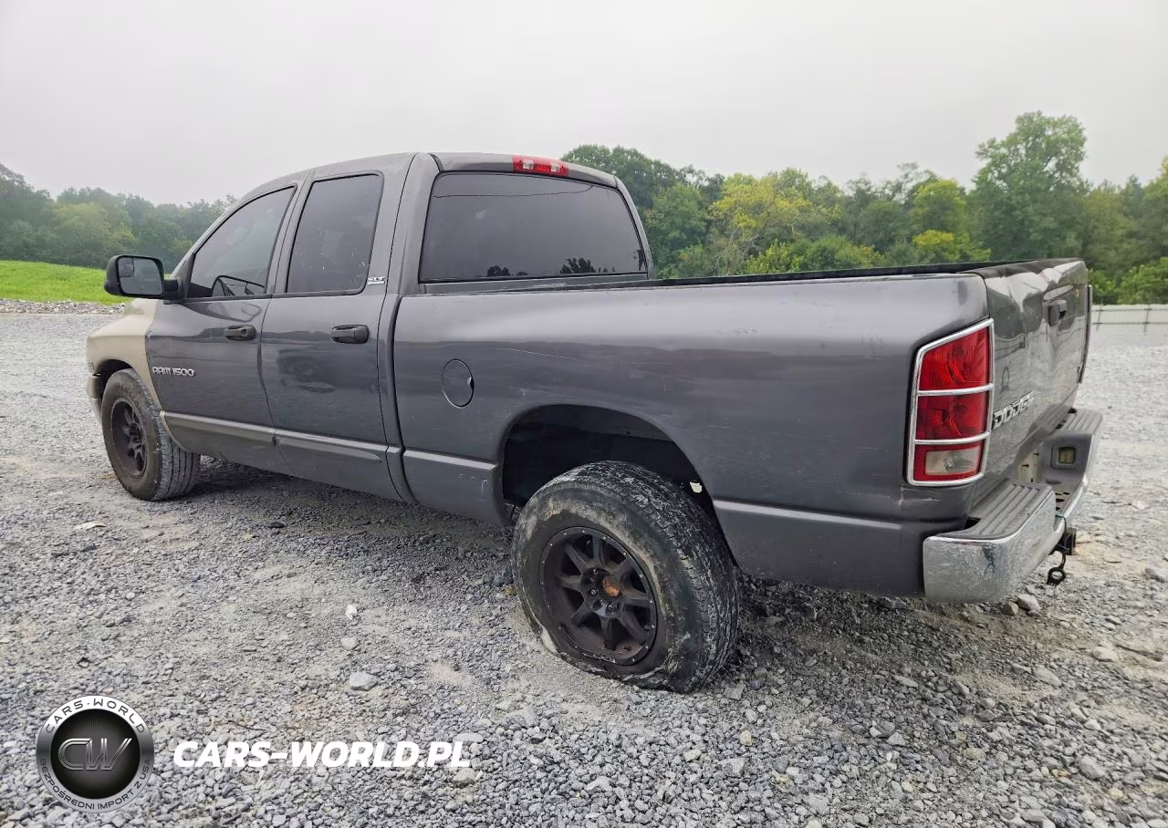 2002 Dodge Ram 1500 VIN:1D7HA18N42S635807 - 2