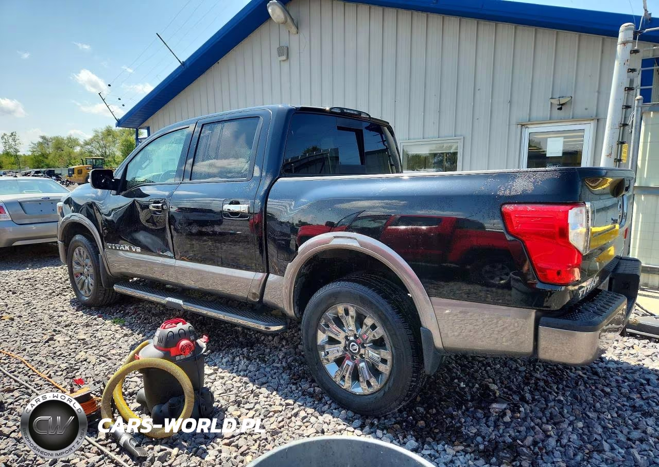 2019 Nissan Titan Platinum Reserve VIN:1N6AA1E54KN505005 - 2