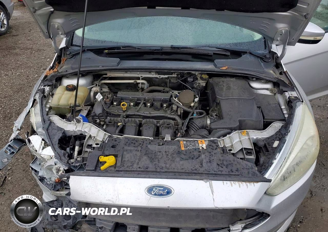 2016 Ford Focus Se VIN:1FADP3F27GL290288 - 11