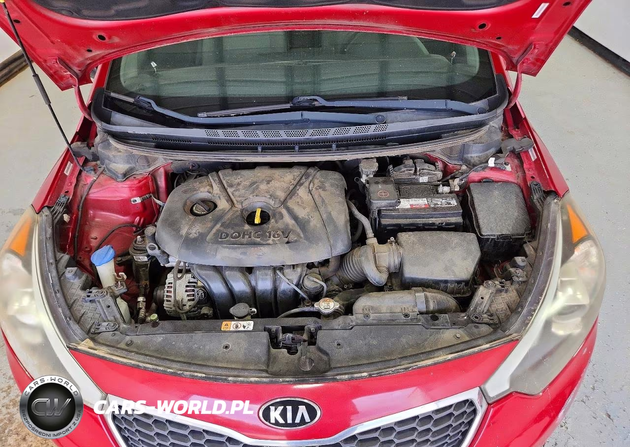 2015 Kia Forte Lx VIN:KNAFX4A69F5312021 - 11