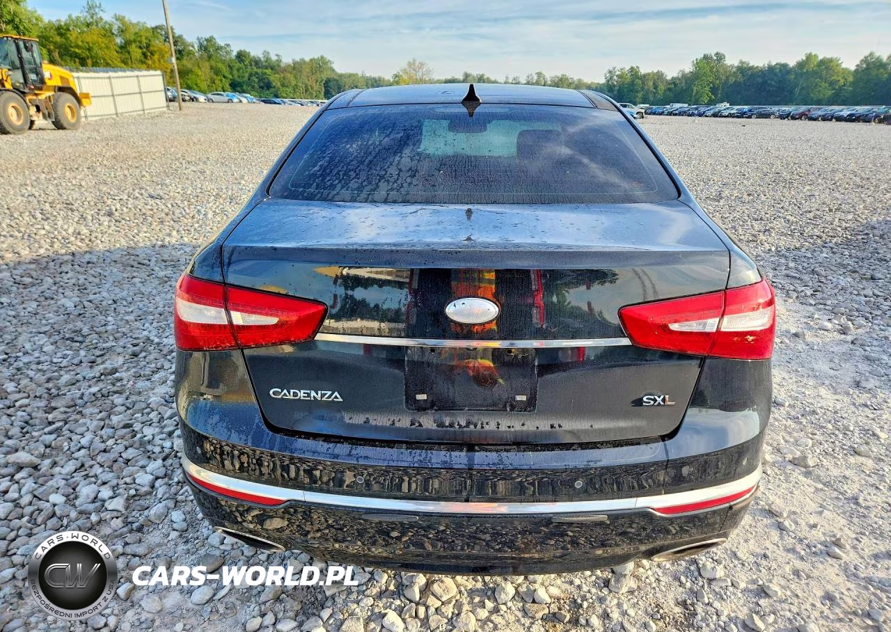 2016 Kia Cadenza Luxury VIN:KNALN4D79G5212984 - 6
