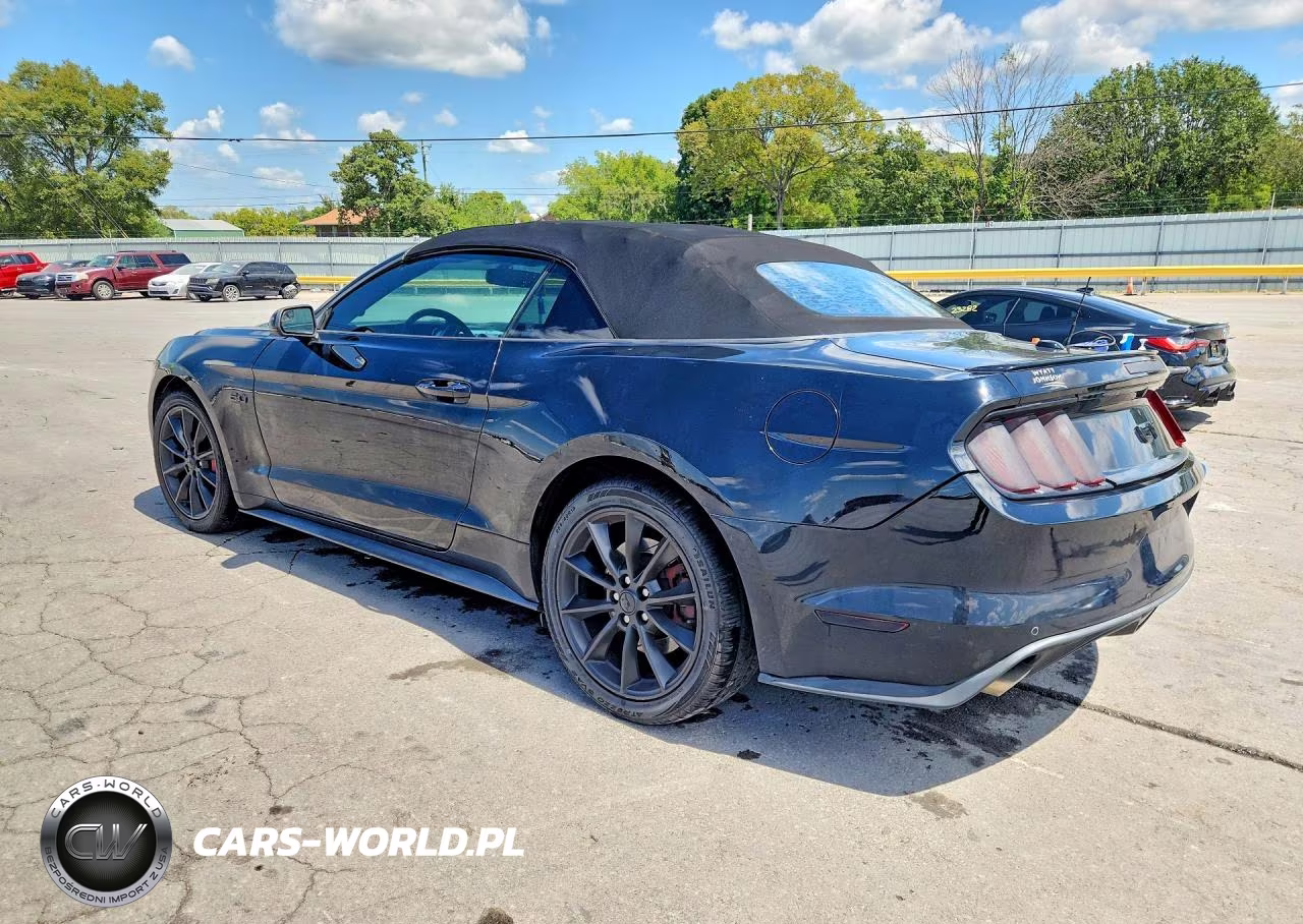 2016 Ford Mustang Gt VIN:1FATP8FF0G5253051 - 2