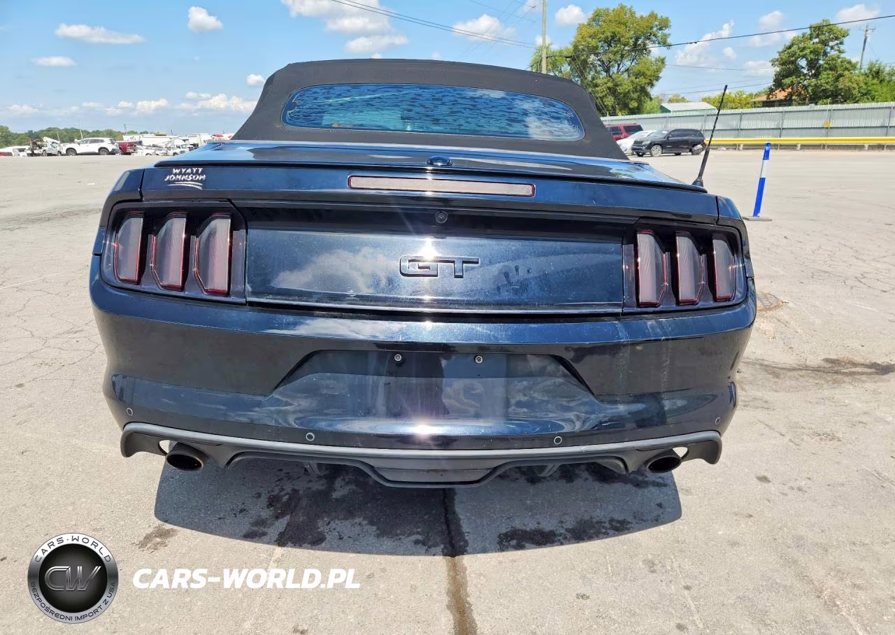 2016 Ford Mustang Gt VIN:1FATP8FF0G5253051 - 6