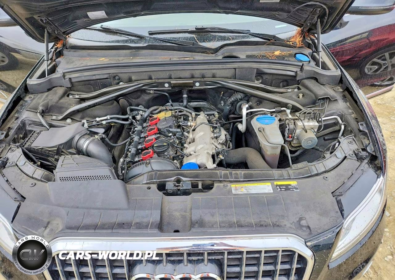 2014 Audi Q5 Premium Plus VIN:WA1LFAFPXEA039874 - 12