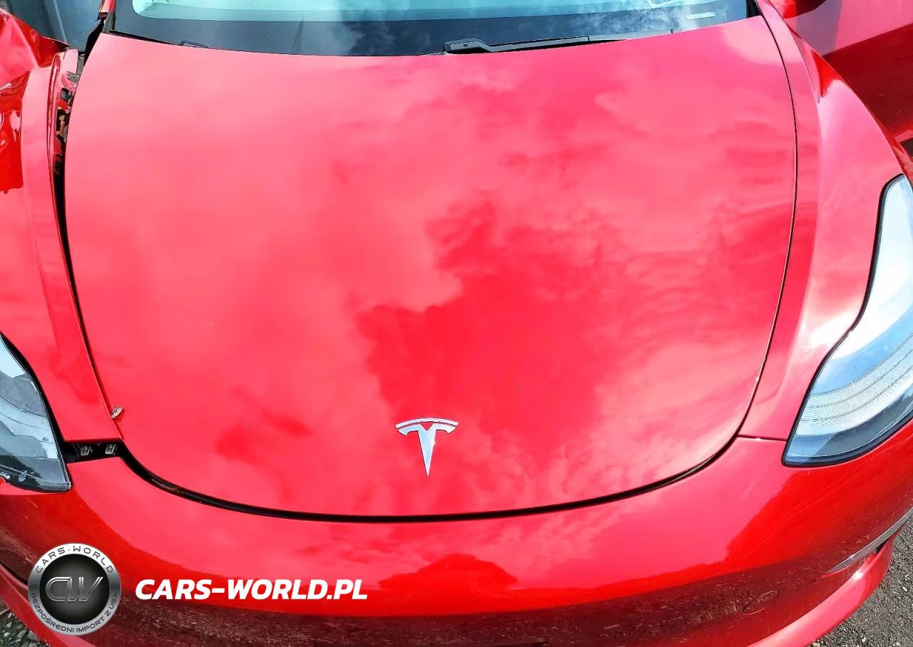 2021 Tesla Model 3 VIN:5YJ3E1EB1MF015631 - 11