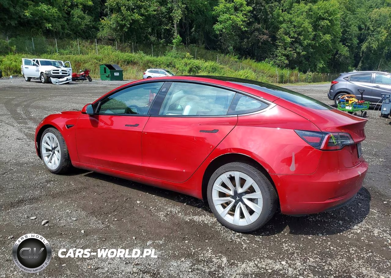 2021 Tesla Model 3 VIN:5YJ3E1EB1MF015631 - 2