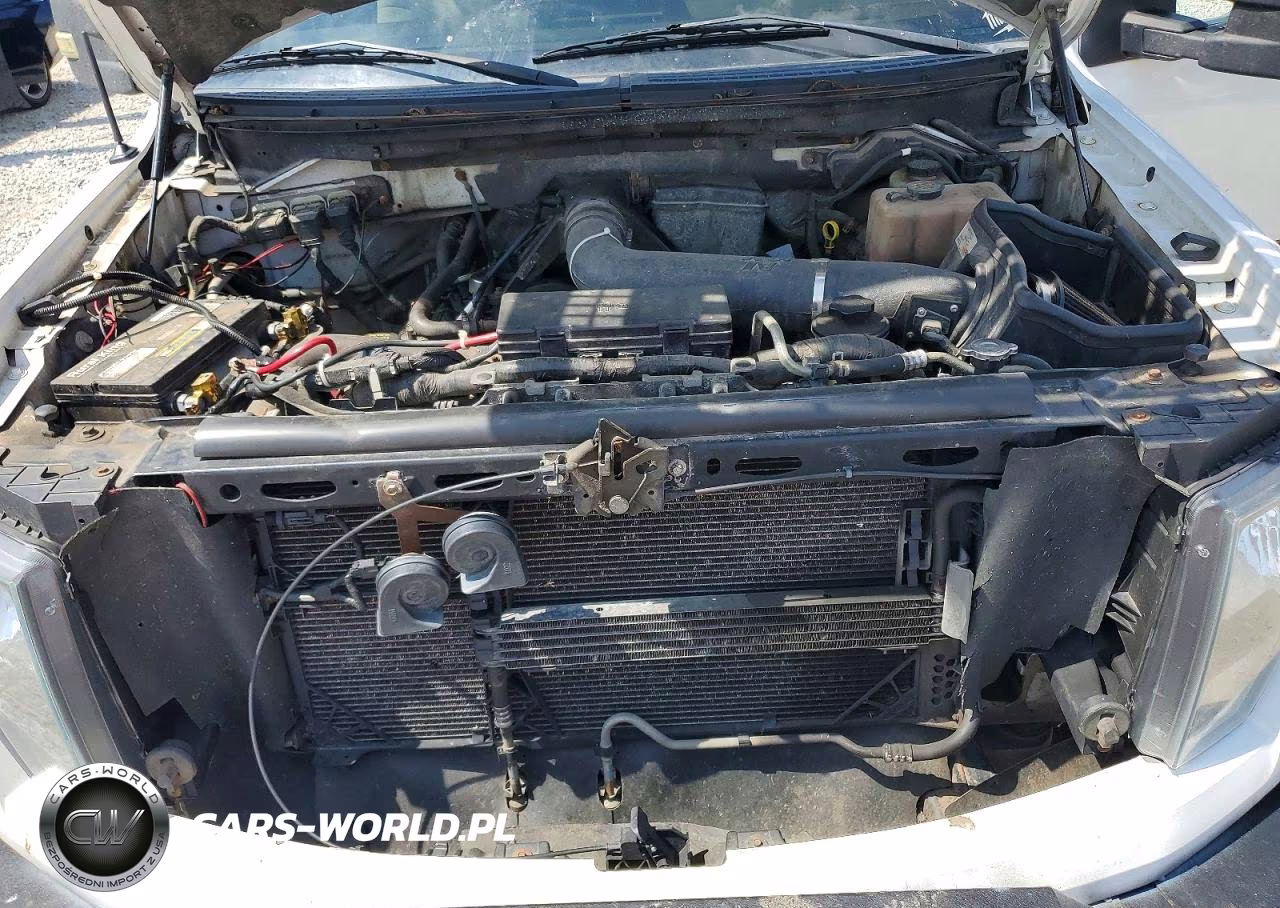 2010 Ford F150 Supercrew VIN:1FTFW1EV4AFC38676 - 11