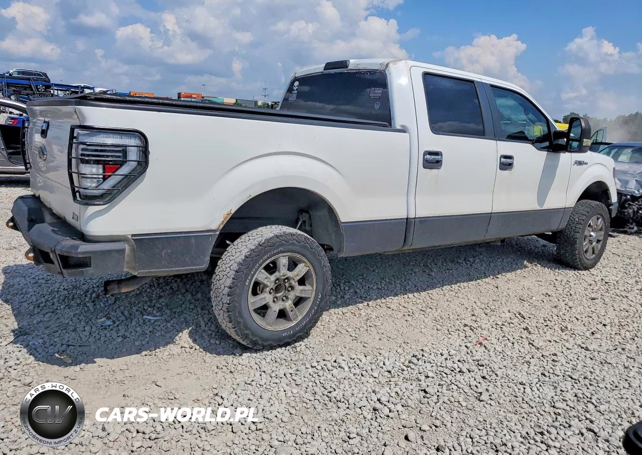 2010 Ford F150 Supercrew VIN:1FTFW1EV4AFC38676 - 3