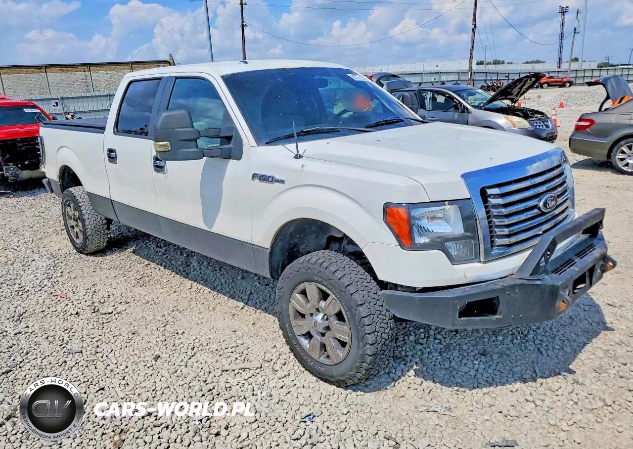 2010 Ford F150 Supercrew VIN:1FTFW1EV4AFC38676 - 4