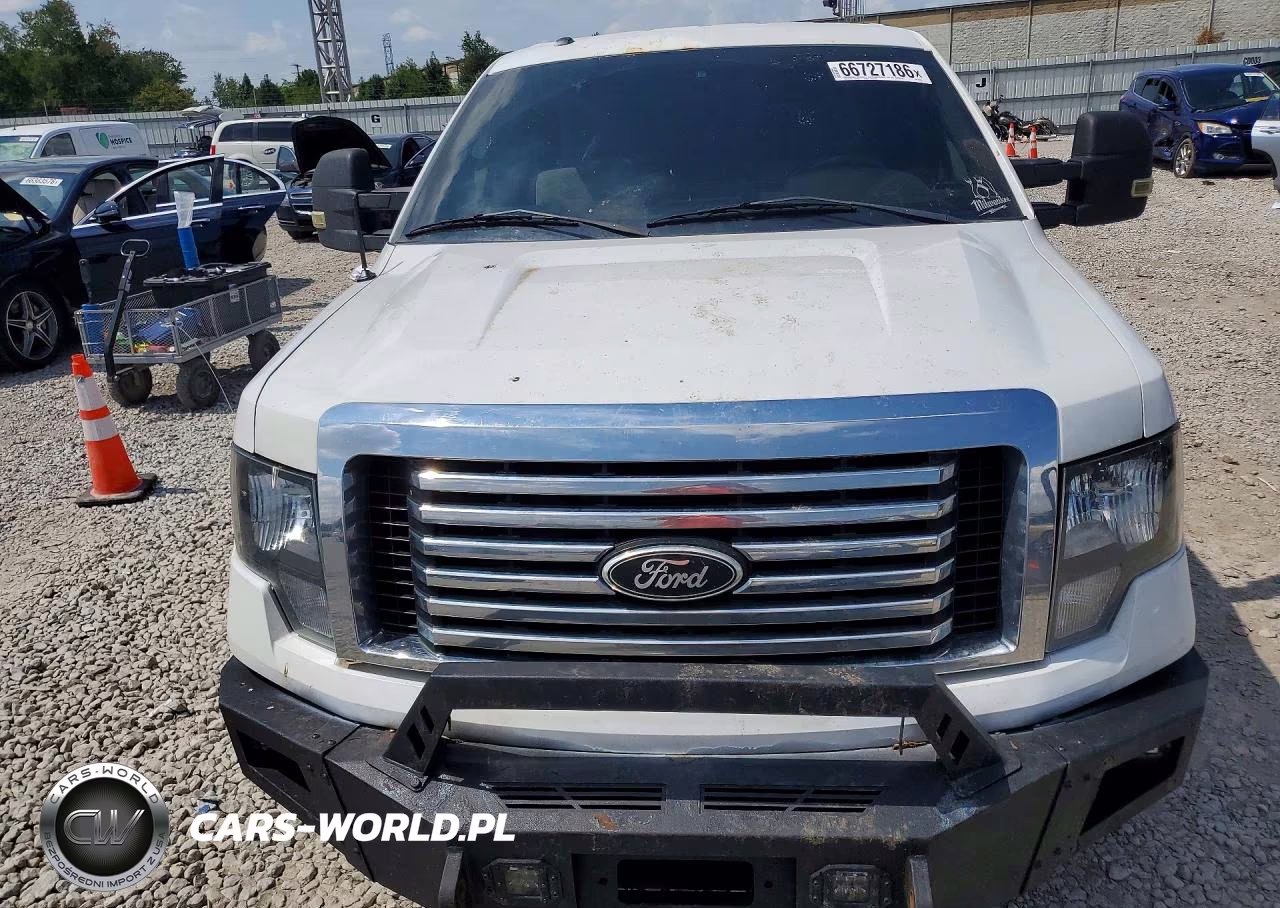 2010 Ford F150 Supercrew VIN:1FTFW1EV4AFC38676 - 5
