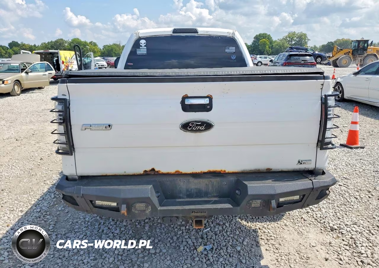 2010 Ford F150 Supercrew VIN:1FTFW1EV4AFC38676 - 6