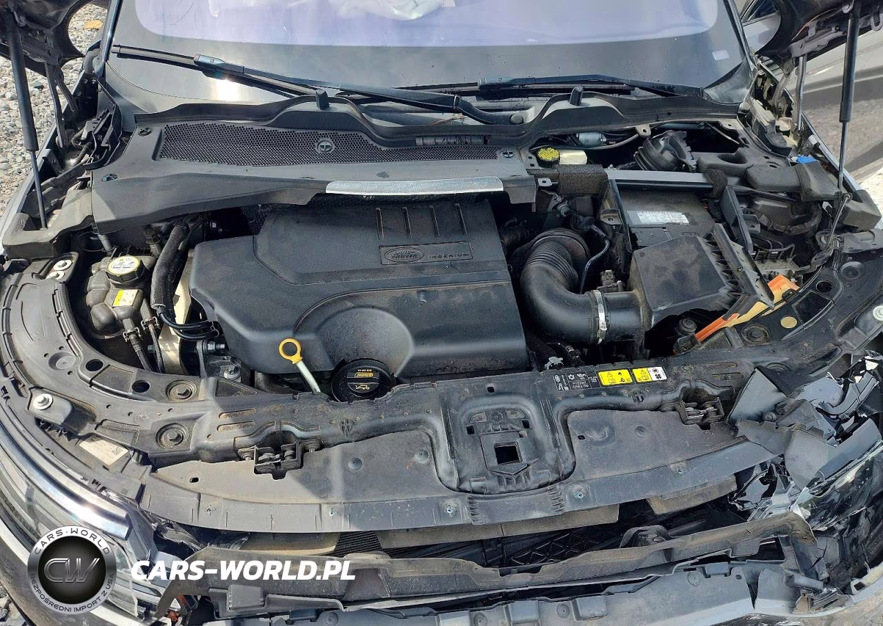 2020 Land Rover Range Rover Evoque Se VIN:SALZP2FX5LH008127 - 12