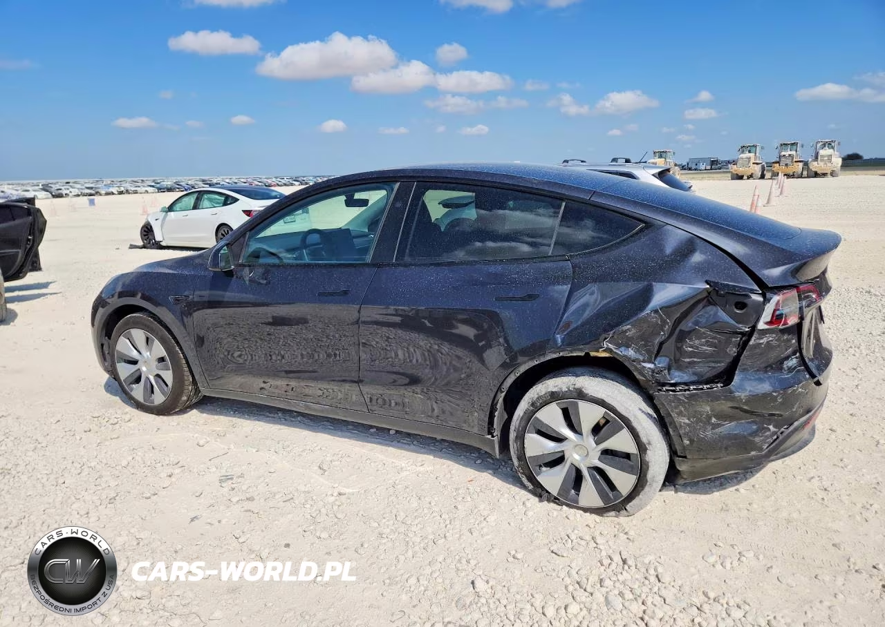 2024 Tesla Model Y VIN:7SAYGDED4RF018505 - 2