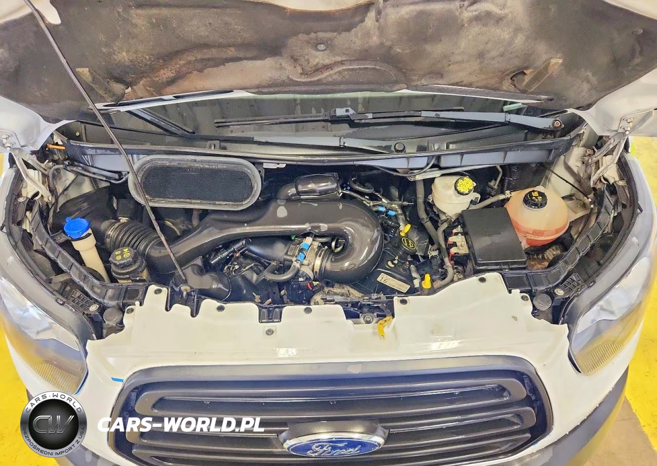 2019 Ford Transit T-250 VIN:1FTYR2ZM9KKA25366 - 12