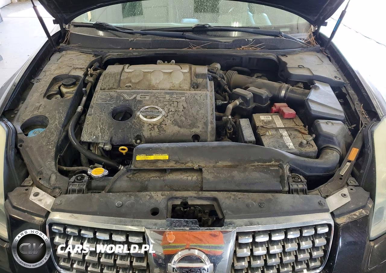 2004 Nissan Maxima 3.5 Se VIN:1N4BA41E44C871226 - 11