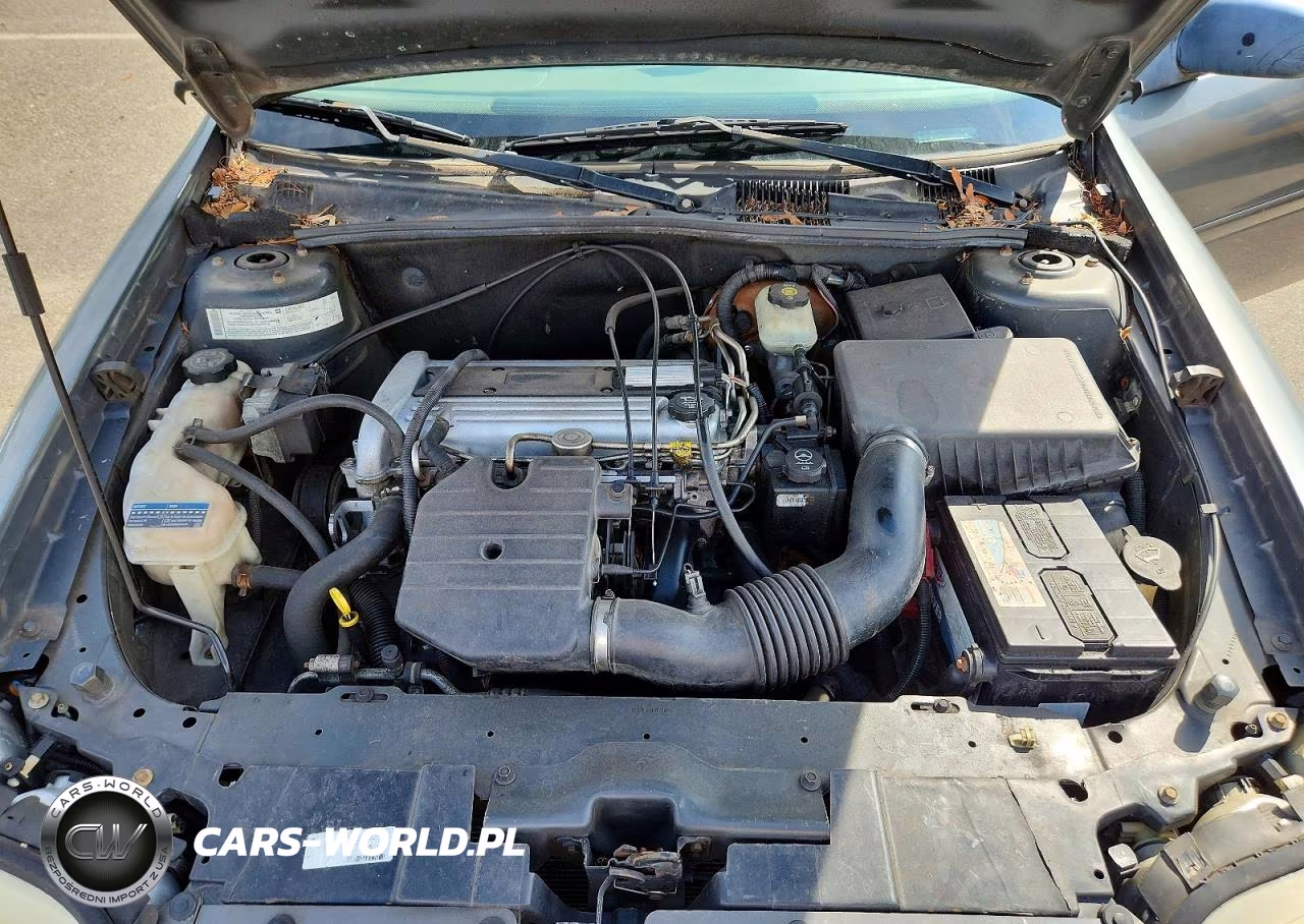 2005 Chevrolet Classic VIN:1G1ND52F05M181411 - 11