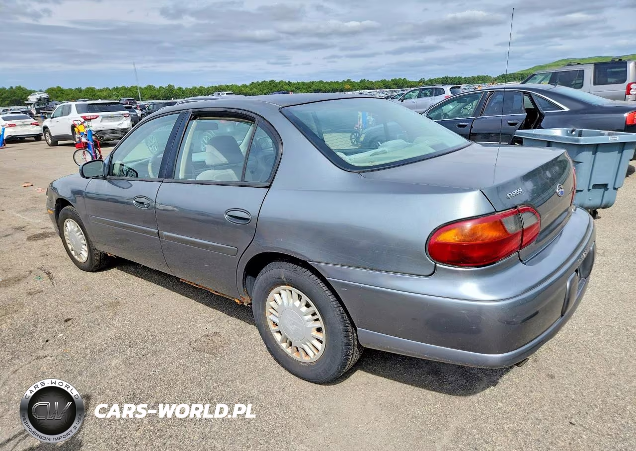 2005 Chevrolet Classic VIN:1G1ND52F05M181411 - 2