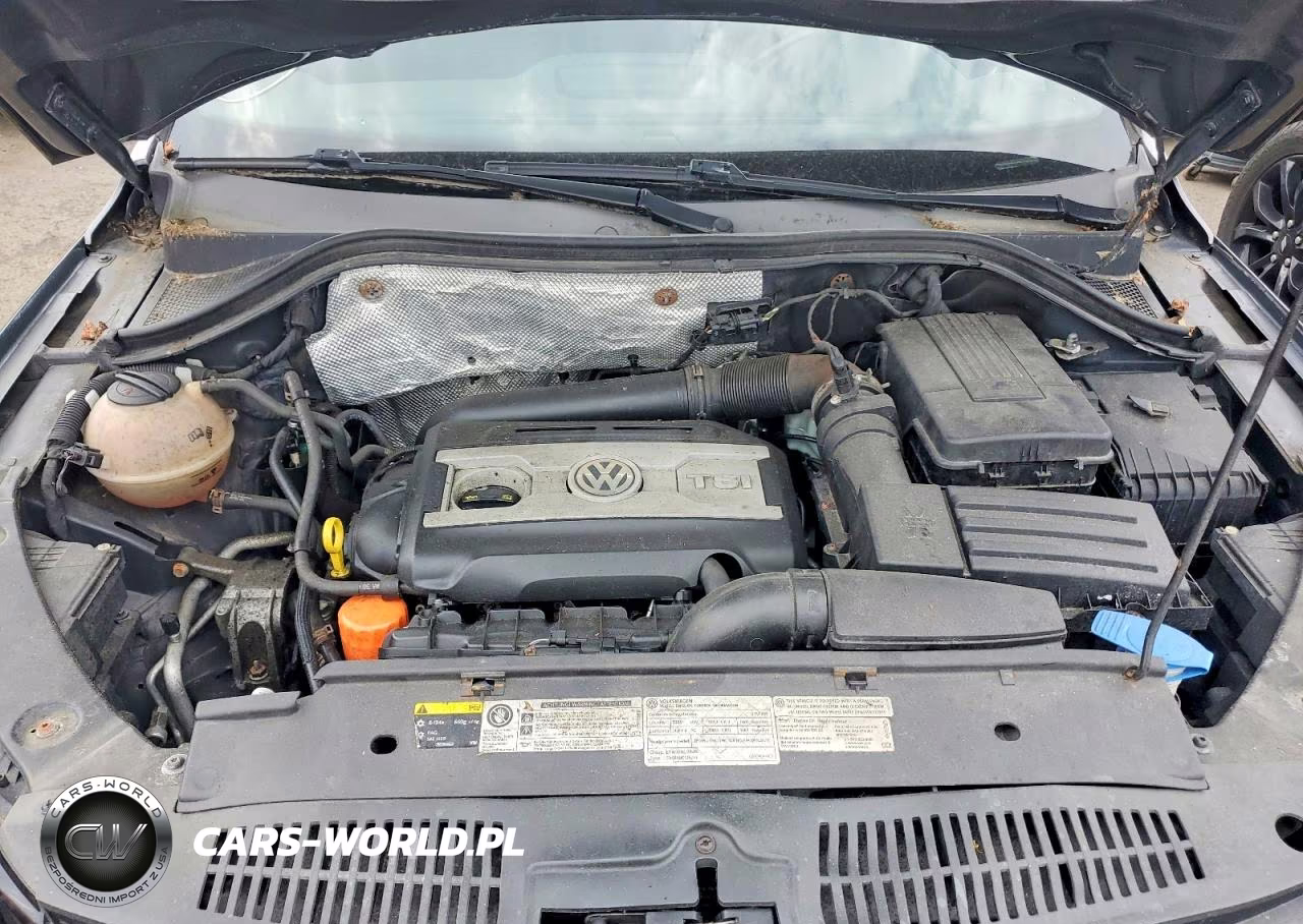 2014 Volkswagen Tiguan S VIN:WVGBV3AX0EW015038 - 11