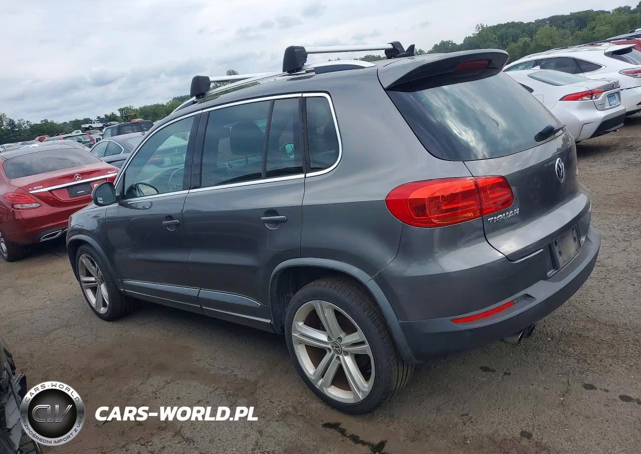 2014 Volkswagen Tiguan S VIN:WVGBV3AX0EW015038 - 2