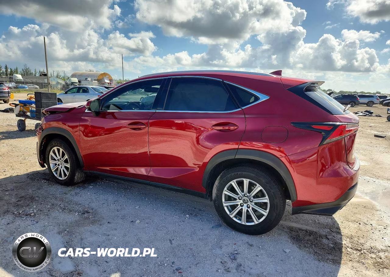 2020 Lexus Nx 300 VIN:JTJDARBZXL5016628 - 2