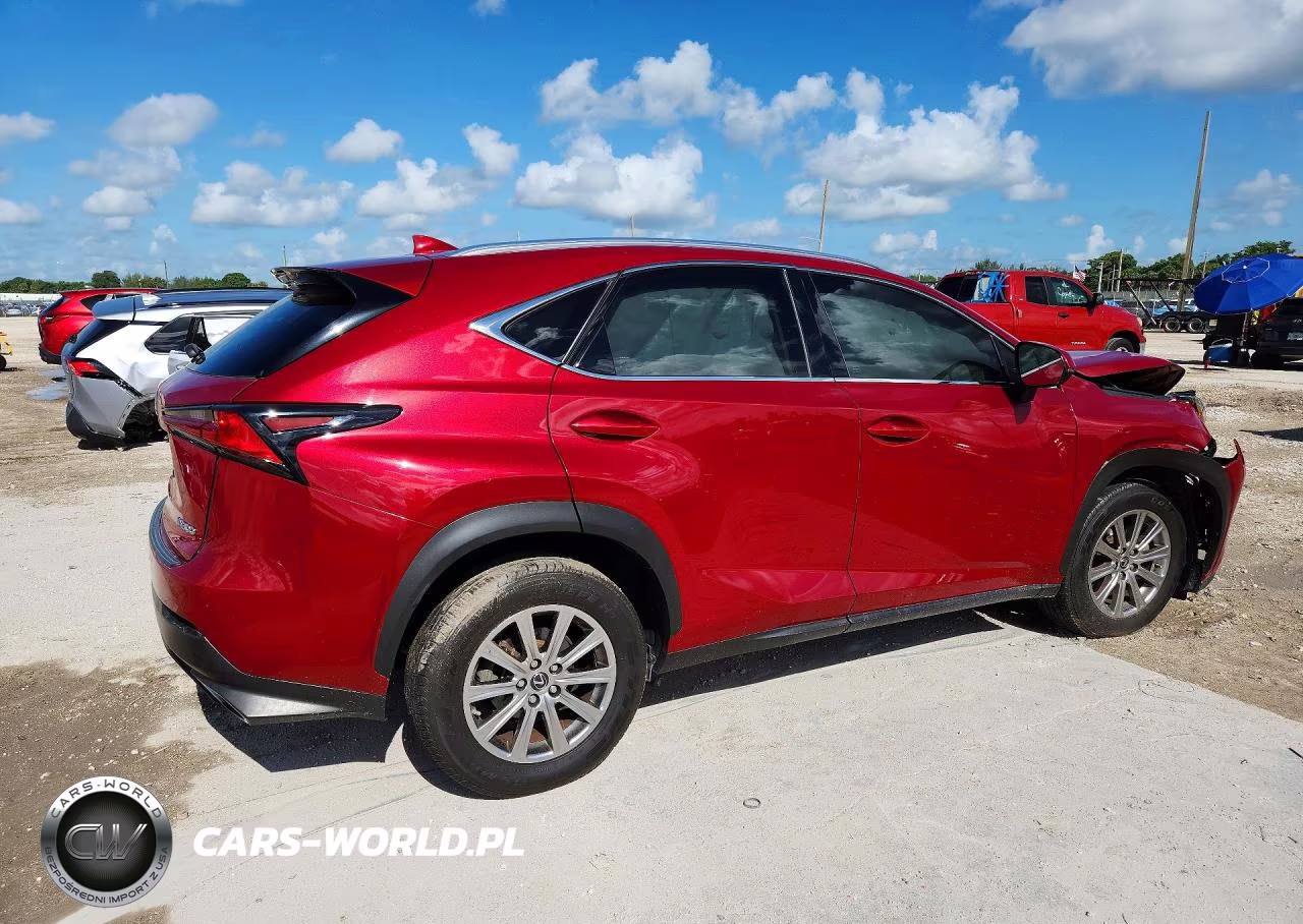 2020 Lexus Nx 300 VIN:JTJDARBZXL5016628 - 3