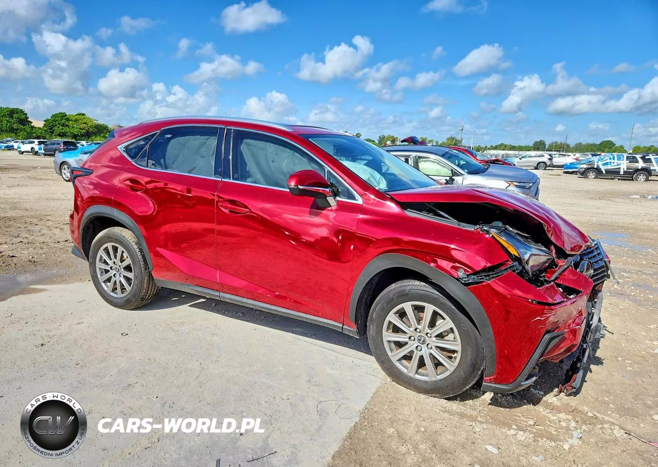 2020 Lexus Nx 300 VIN:JTJDARBZXL5016628 - 4