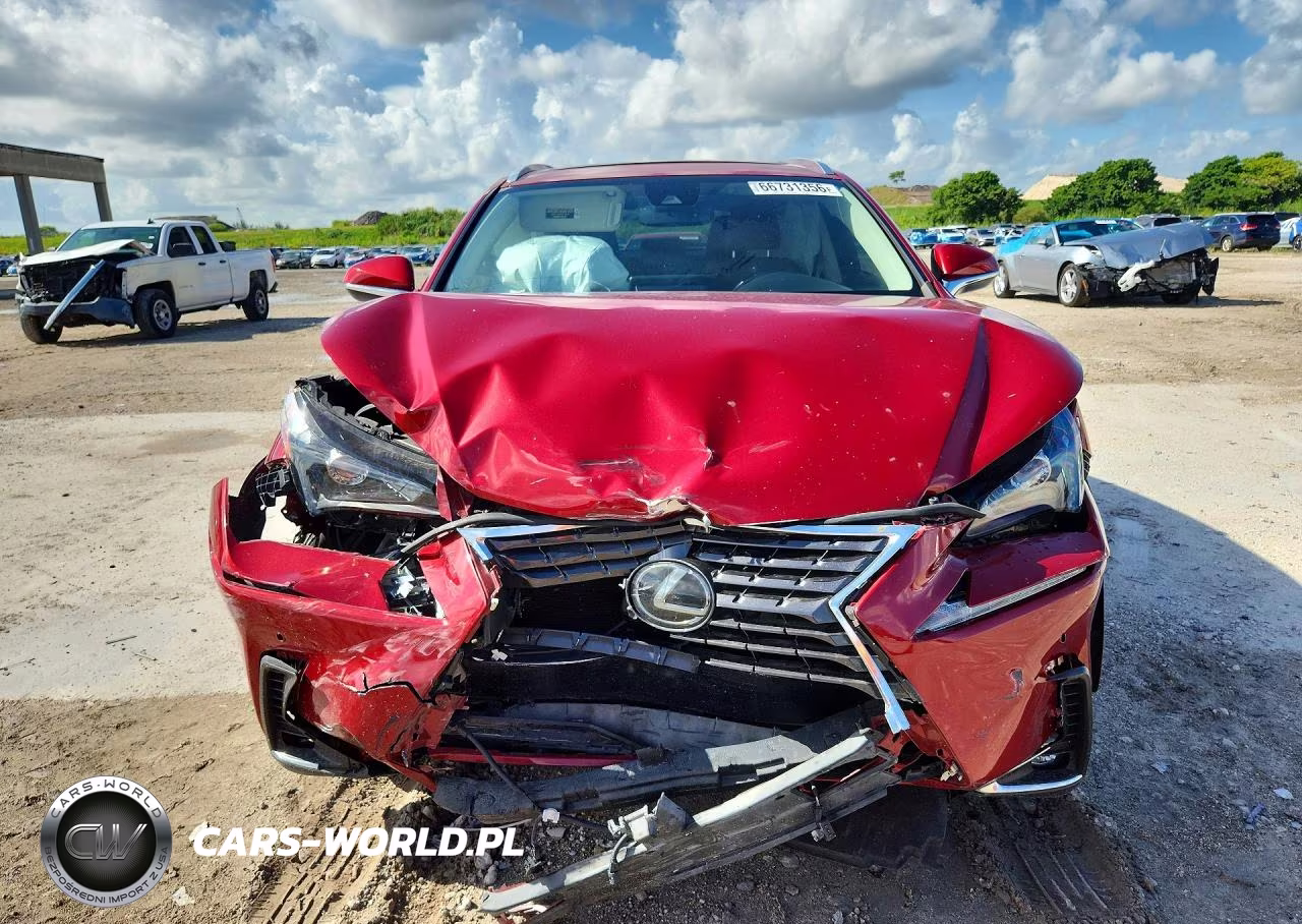 2020 Lexus Nx 300 VIN:JTJDARBZXL5016628 - 5