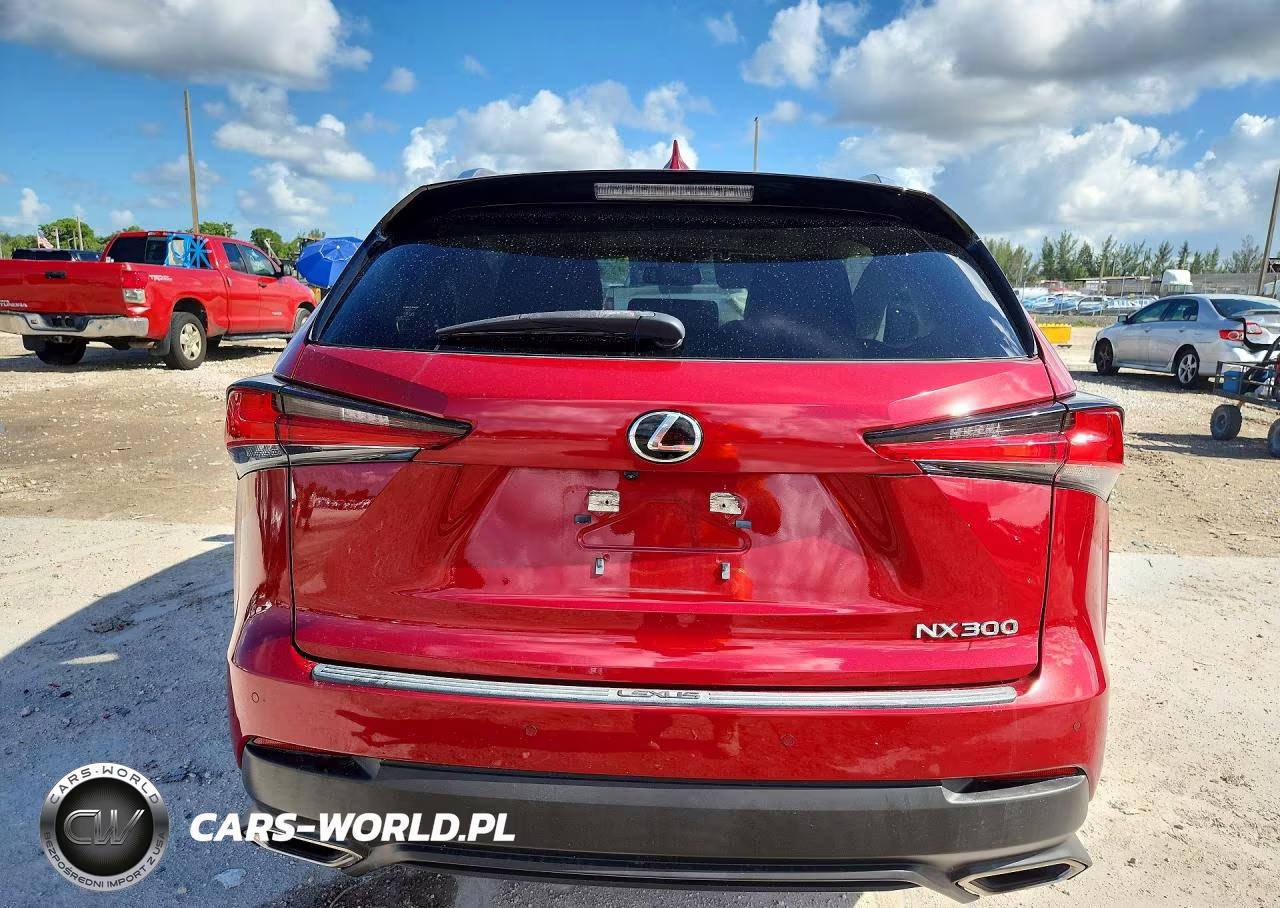 2020 Lexus Nx 300 VIN:JTJDARBZXL5016628 - 6