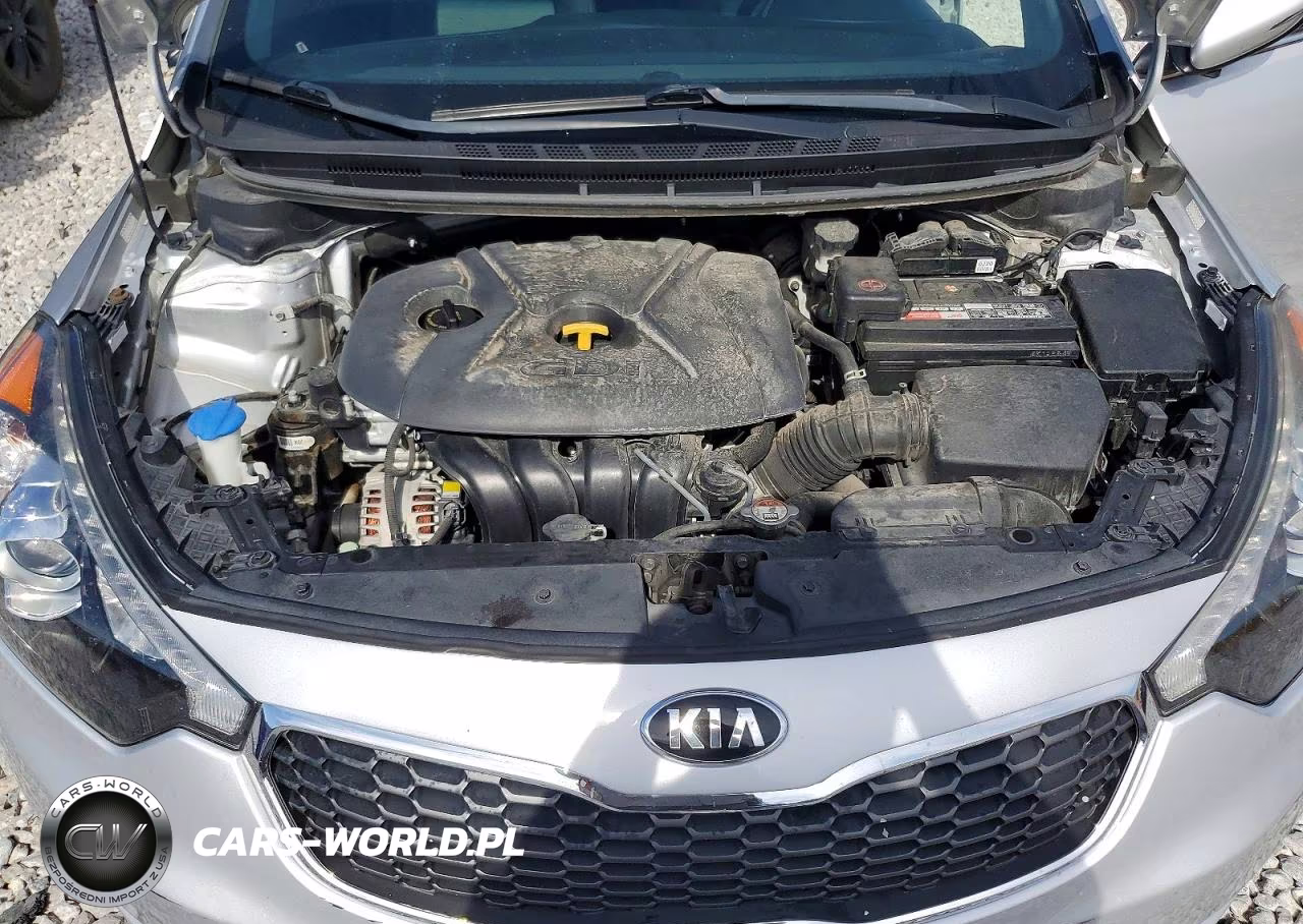 2016 Kia Forte Ex VIN:KNAFX5A89G5617737 - 11