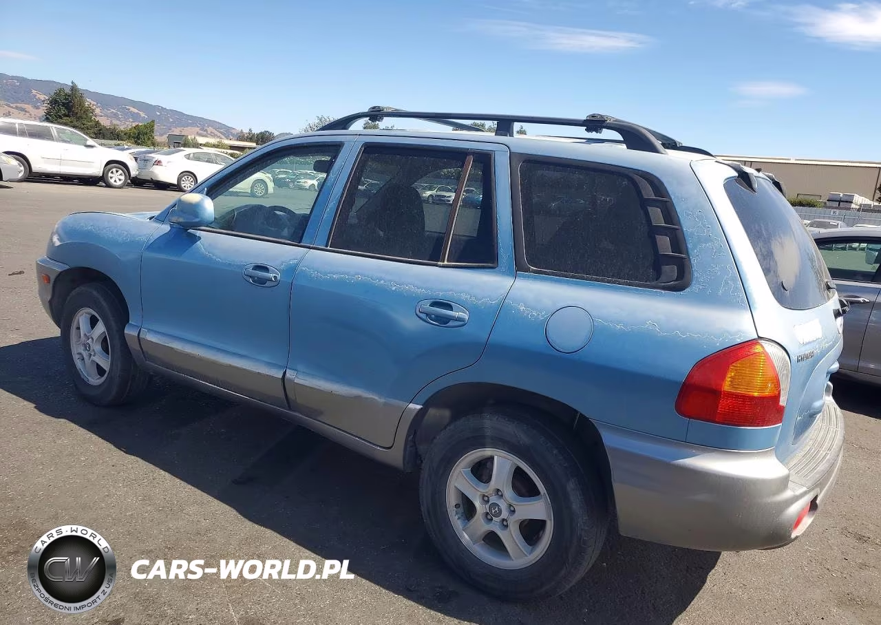 2004 Hyundai Santa Fe Base VIN:KM8SB12B74U709624 - 2