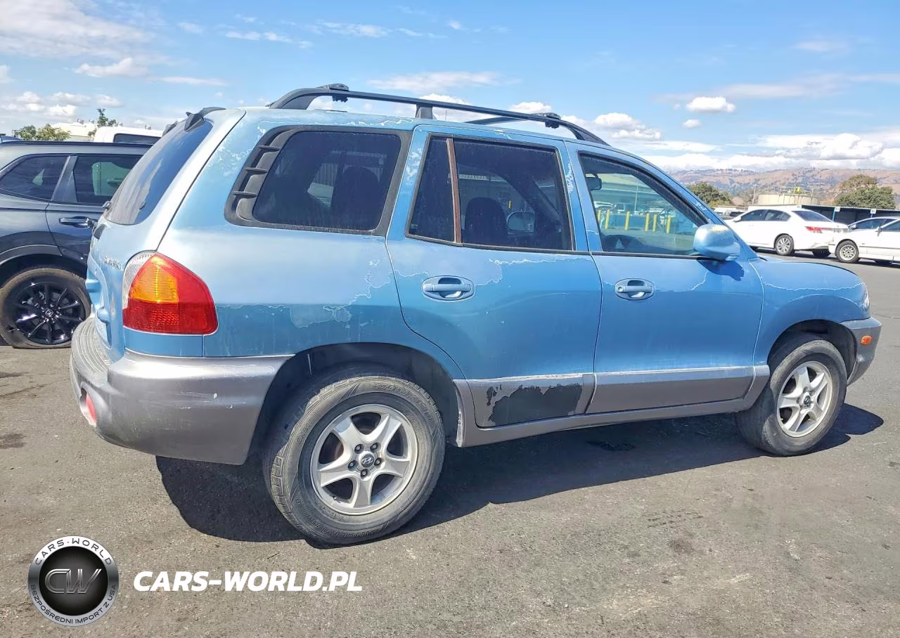 2004 Hyundai Santa Fe Base VIN:KM8SB12B74U709624 - 3