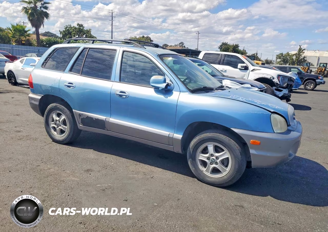 2004 Hyundai Santa Fe Base VIN:KM8SB12B74U709624 - 4