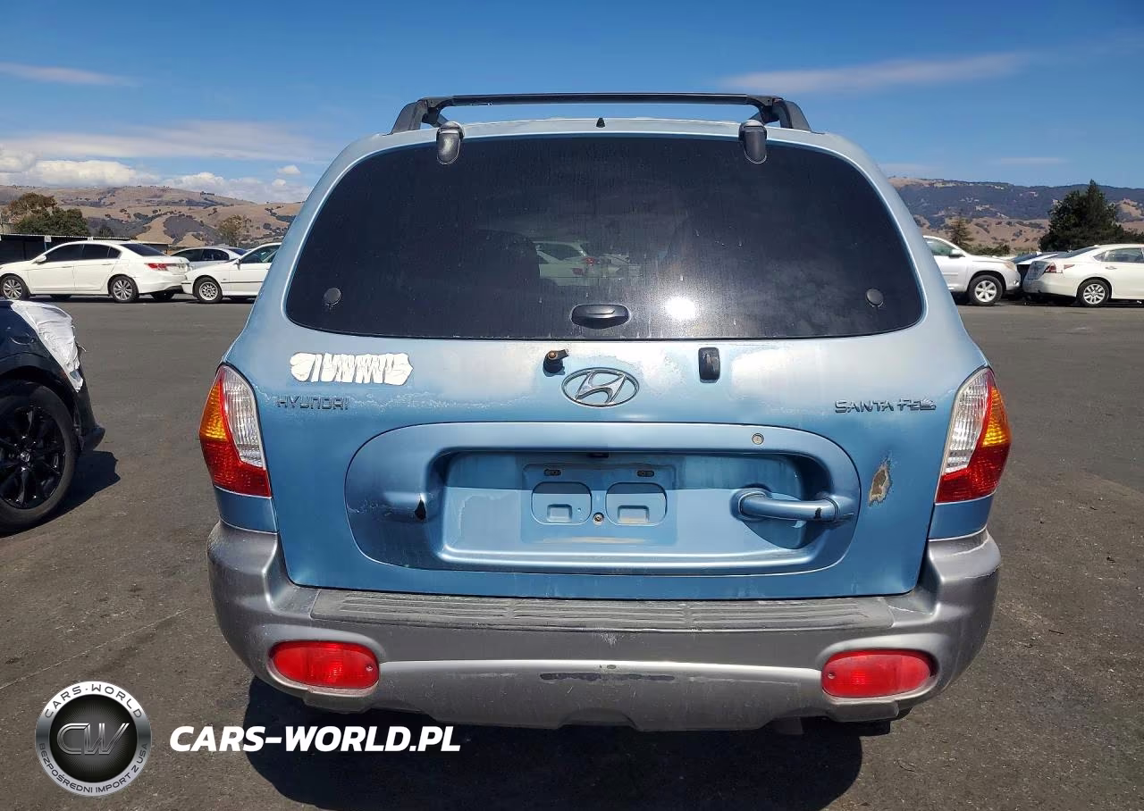 2004 Hyundai Santa Fe Base VIN:KM8SB12B74U709624 - 6