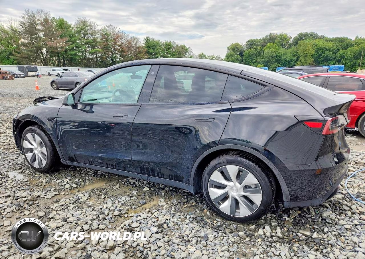 2023 Tesla Model Y VIN:7SAYGAEE2PF752421 - 2