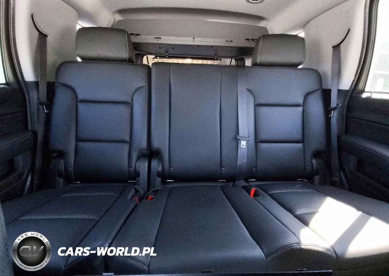 2019 Chevrolet Tahoe Police VIN:1GNLCDEC9KR295569 - 10