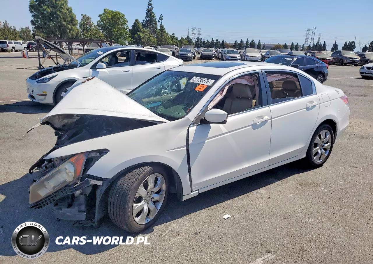 2010 Honda Accord Exl