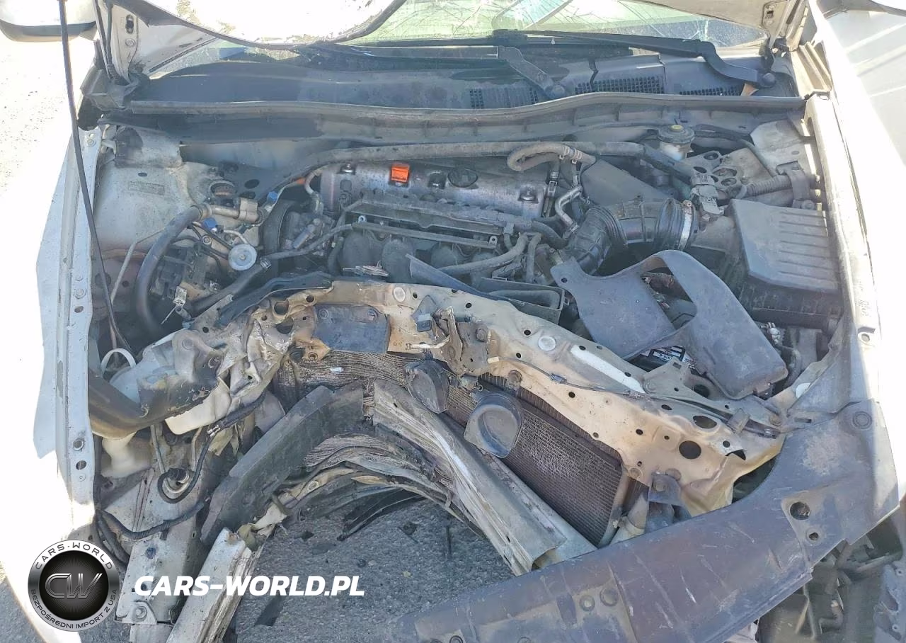 2010 Honda Accord Exl VIN:1HGCP2F87AA115855 - 11