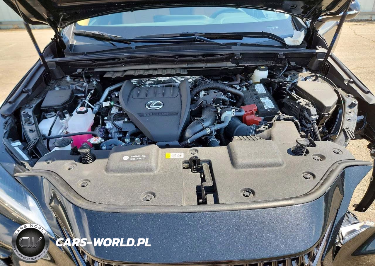 2025 Lexus Nx 350 Premium VIN:2T2GGCEZ0SC066474 - 12