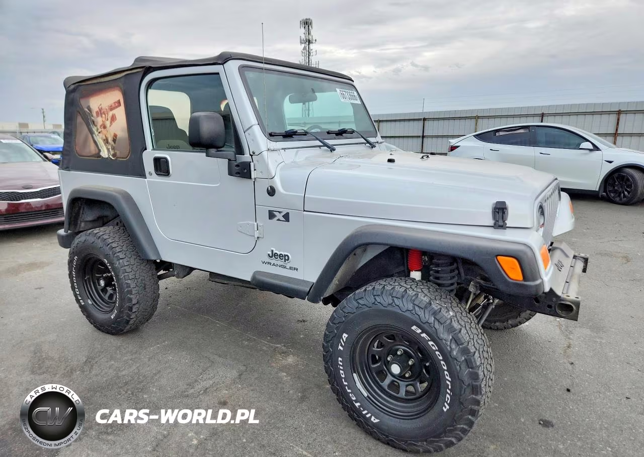 2004 Jeep Wrangler X VIN:1J4FA39S04P746081 - 4