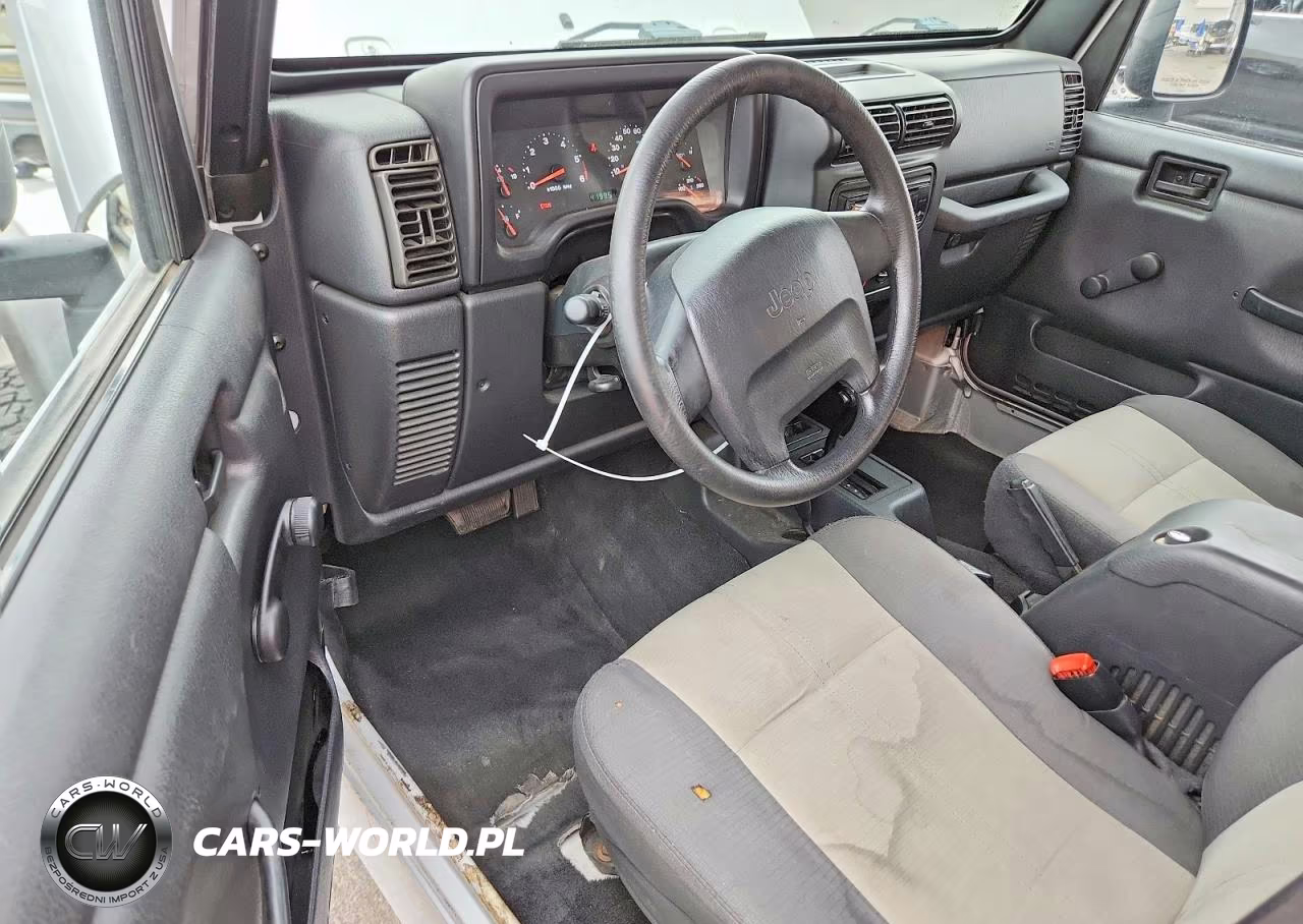 2004 Jeep Wrangler X VIN:1J4FA39S04P746081 - 8