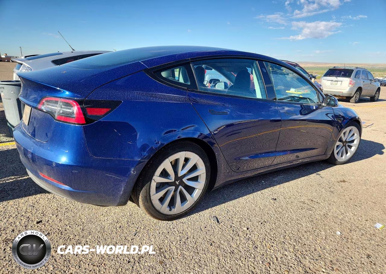 2021 Tesla Model 3 VIN:5YJ3E1EA5MF052852 - 3