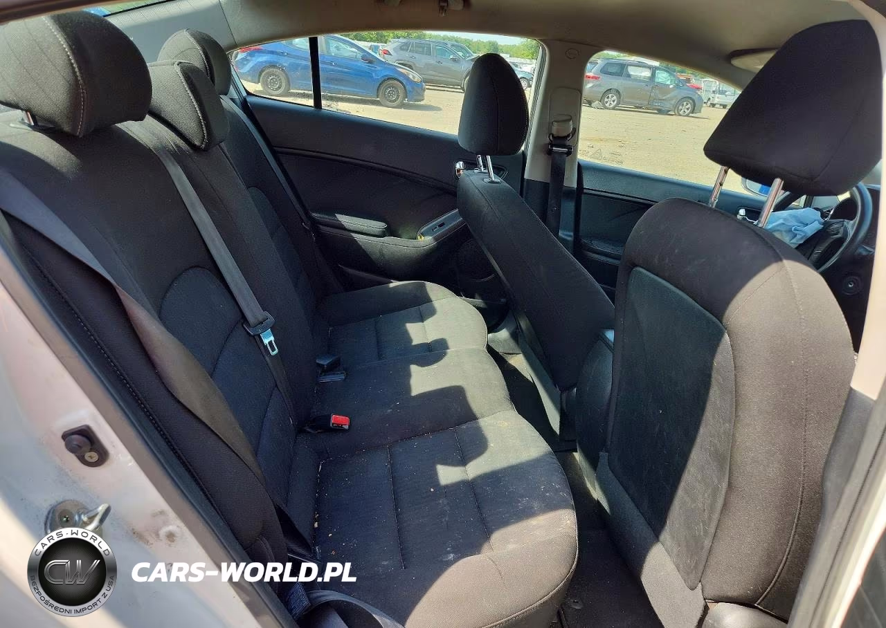 2016 Kia Forte Lx VIN:KNAFK4A64G5559978 - 10