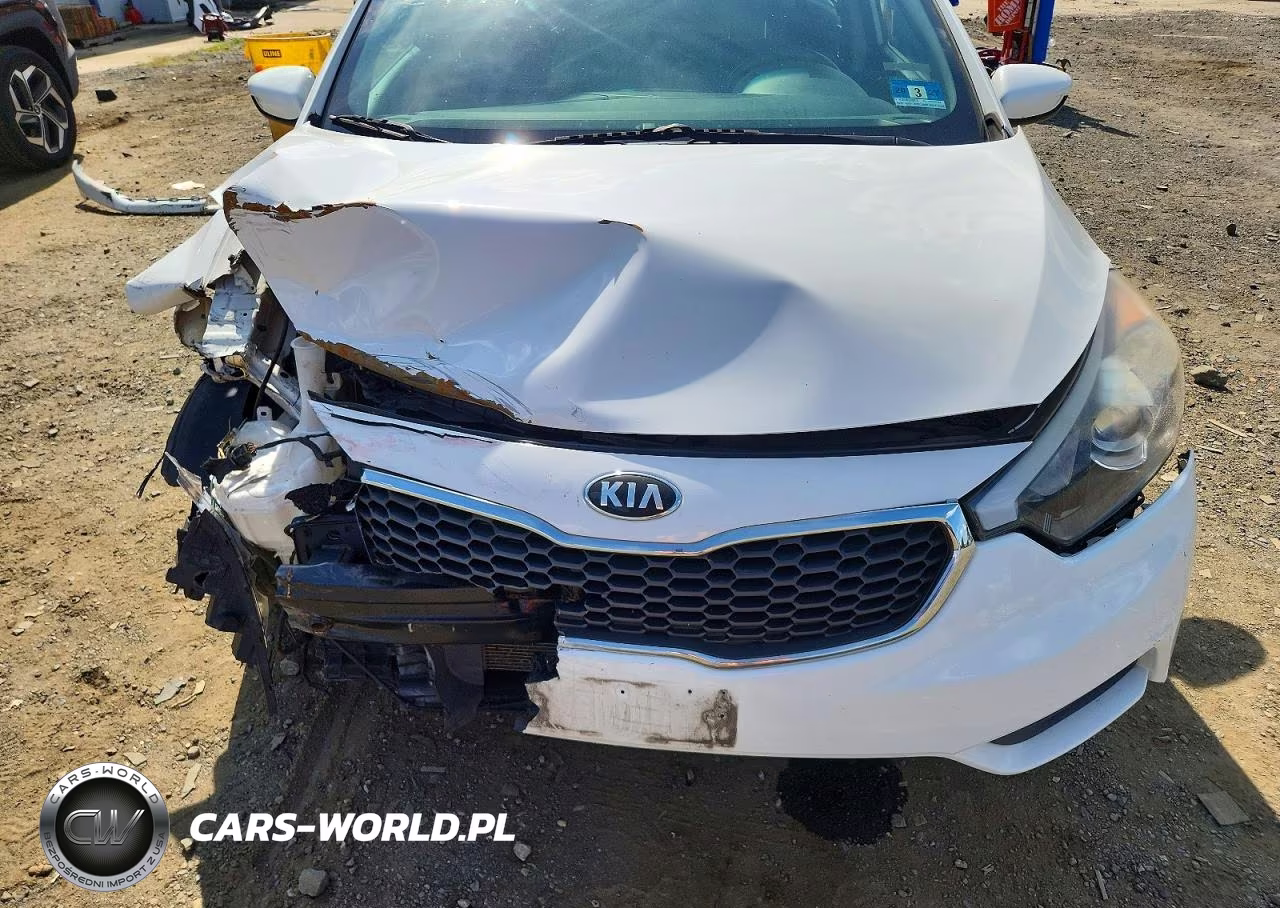 2016 Kia Forte Lx VIN:KNAFK4A64G5559978 - 11