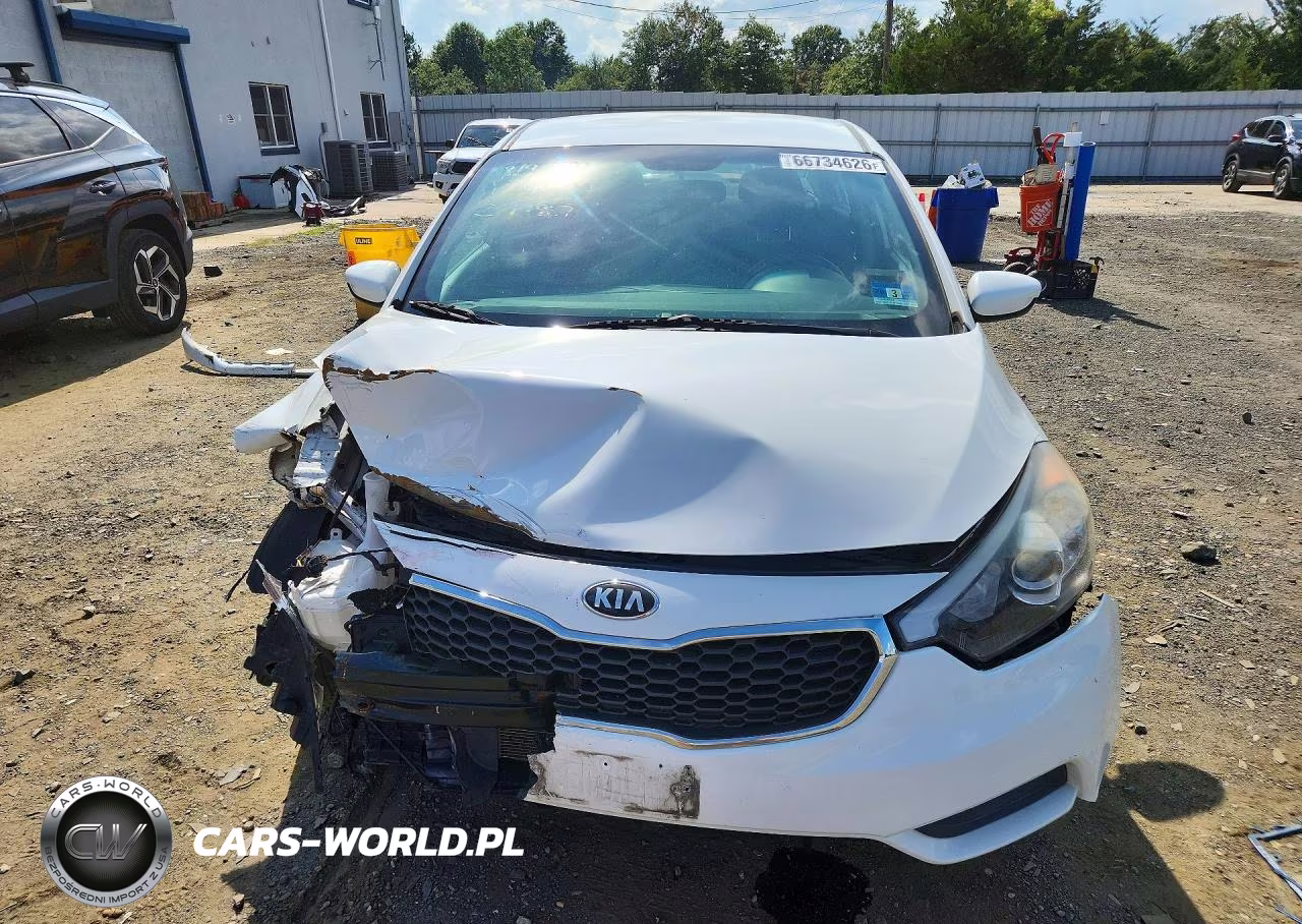 2016 Kia Forte Lx VIN:KNAFK4A64G5559978 - 5