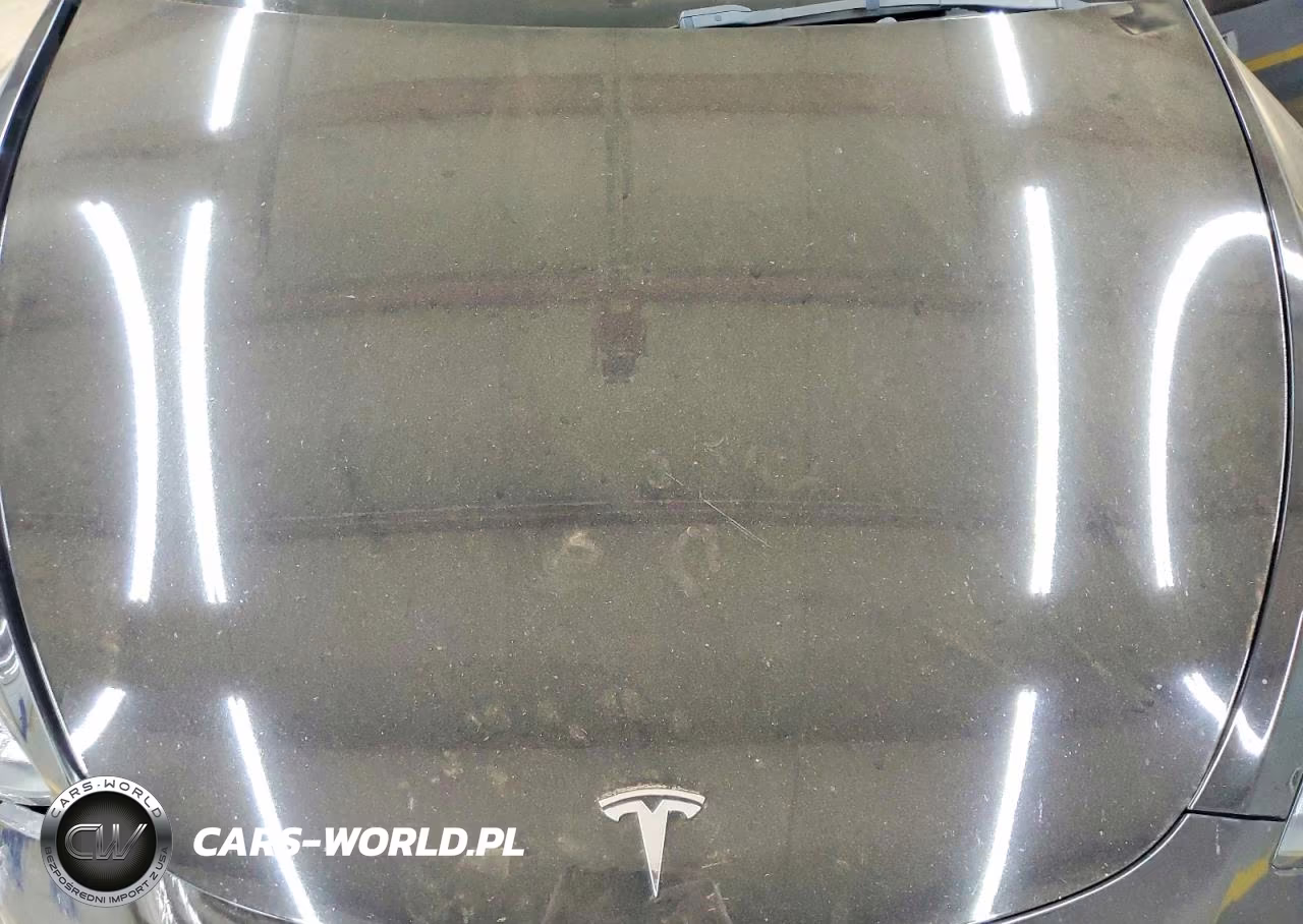 2021 Tesla Model Y VIN:5YJYGDEEXMF102696 - 12